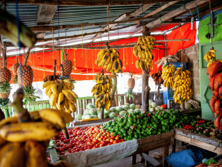 fruits